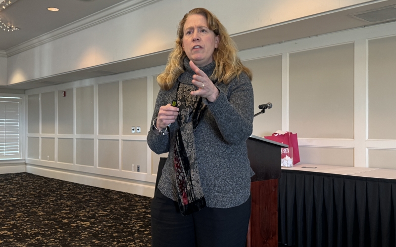 Speaker Kathleen Lapekas - SHRM-CP, PHR, President of Lapekas HR Consulting